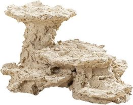 ARKA Biotech Riffplateau mit Turm