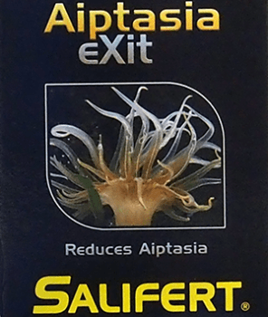 Salifert Aiptasia eXit gegen Glasrosen